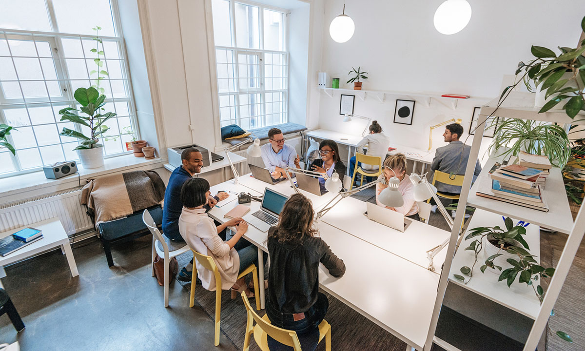 Improve Your Company Culture Using Data
