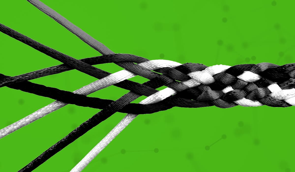 Three sets of strings braided together to resemble the different facets of workforce planning.