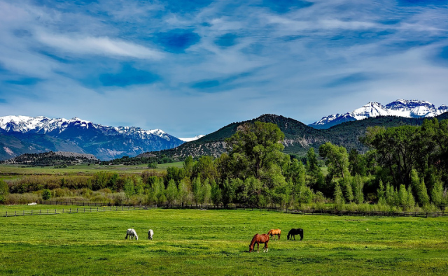 Colorado