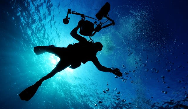 marine biologist careers - commercial diver