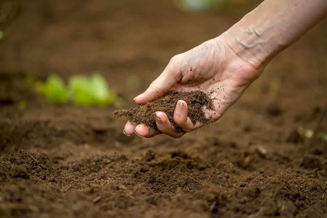 Healthy soil is essential to create complex, quality wines.