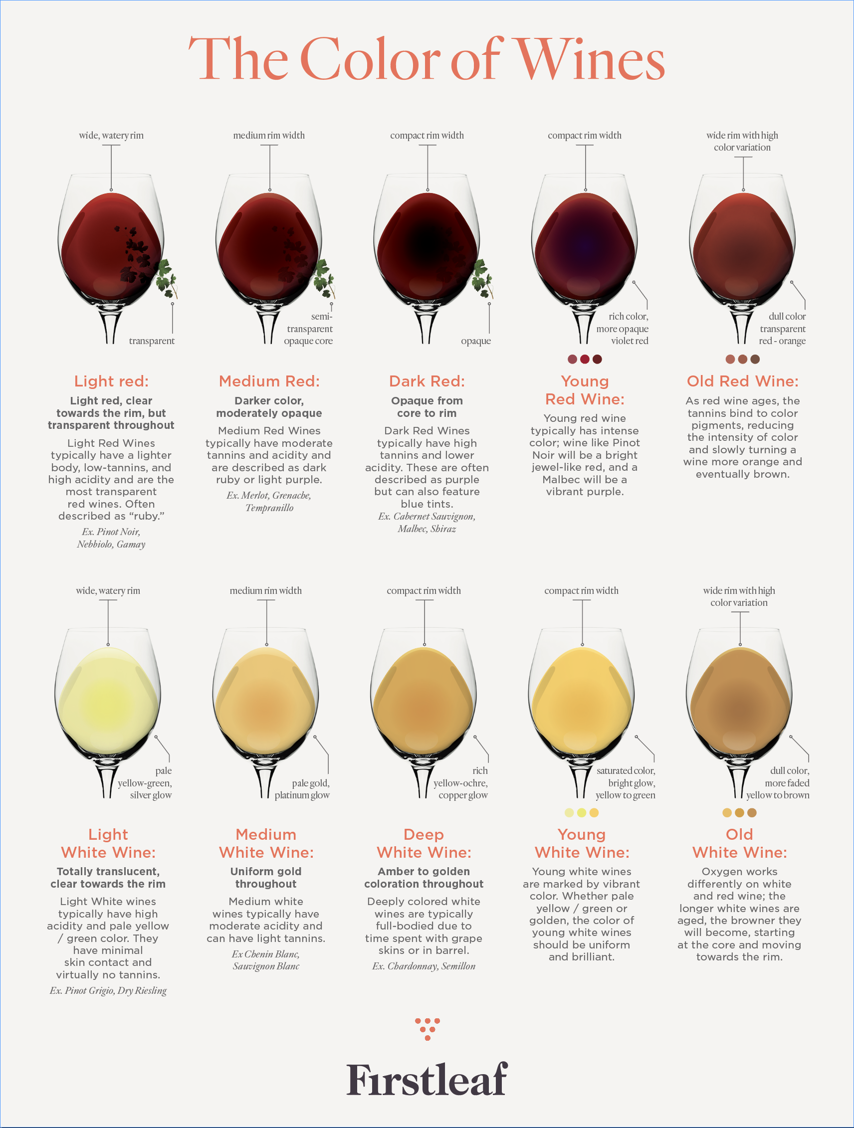 Wine color chart depicting 10 glasses of wine and information about what wine that looks like each generally tastes like.