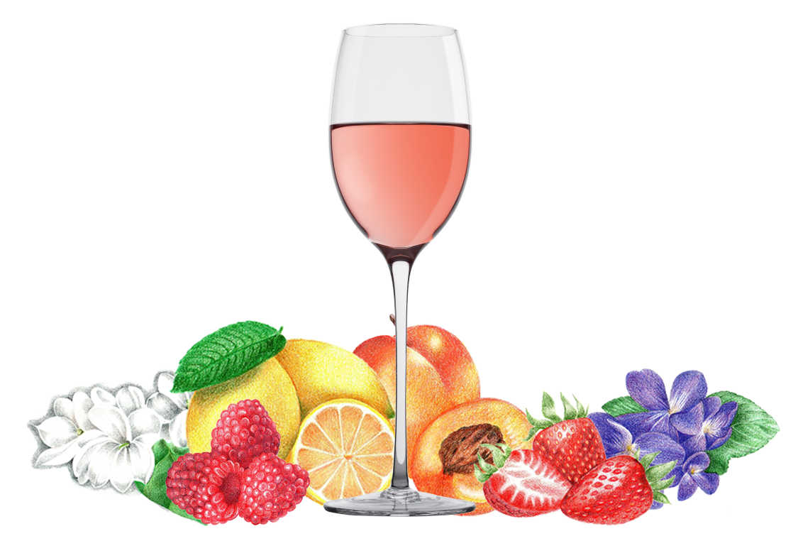 Typical flavors found in Rosé wines