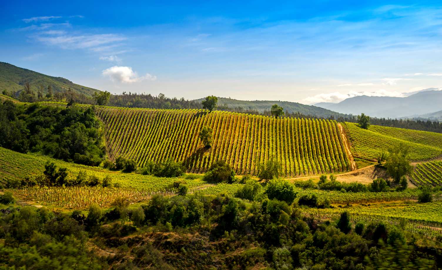 Cachapoal Valley Chile Cachapoal Valley Chile