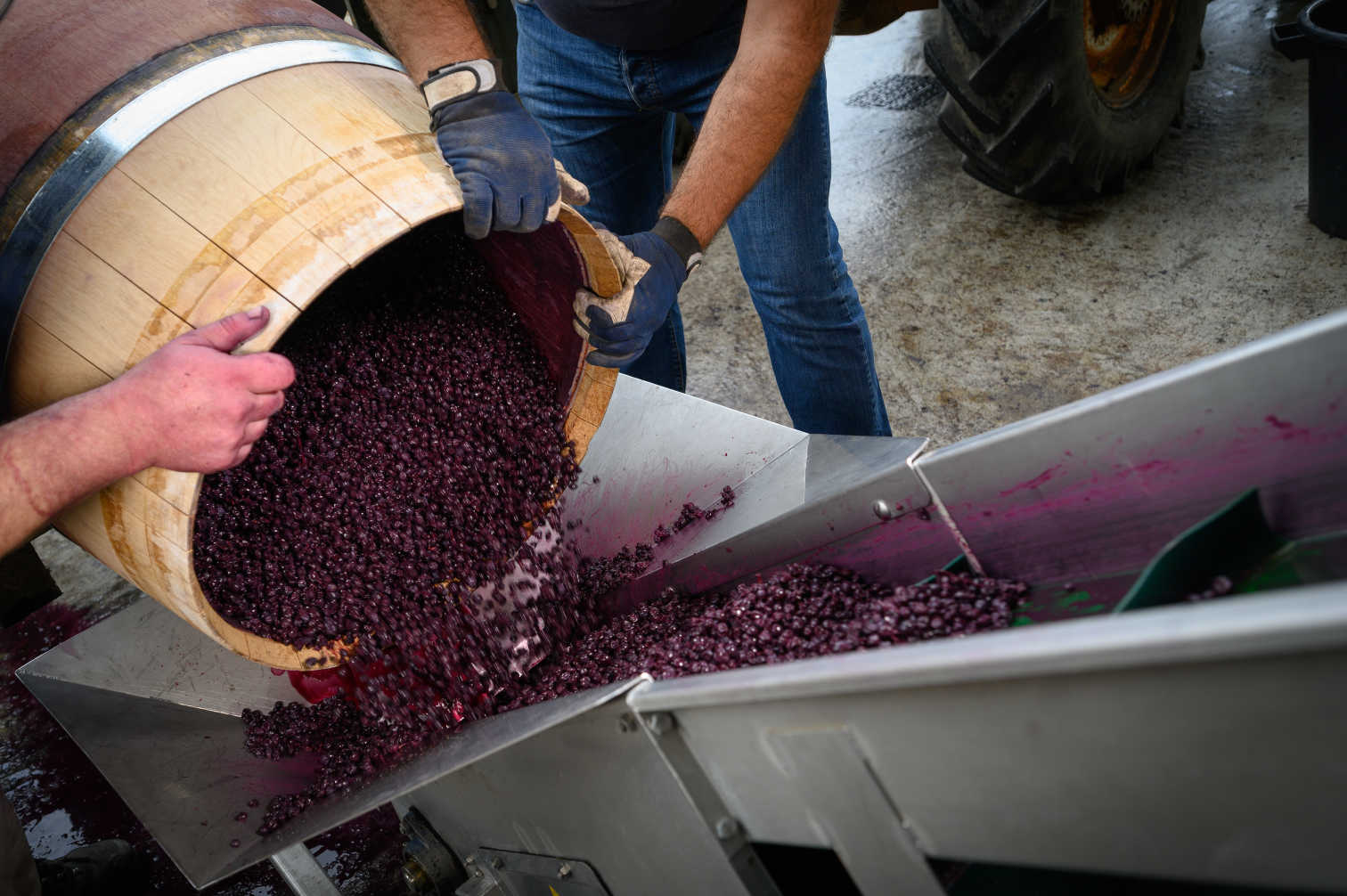 Red Winemaking