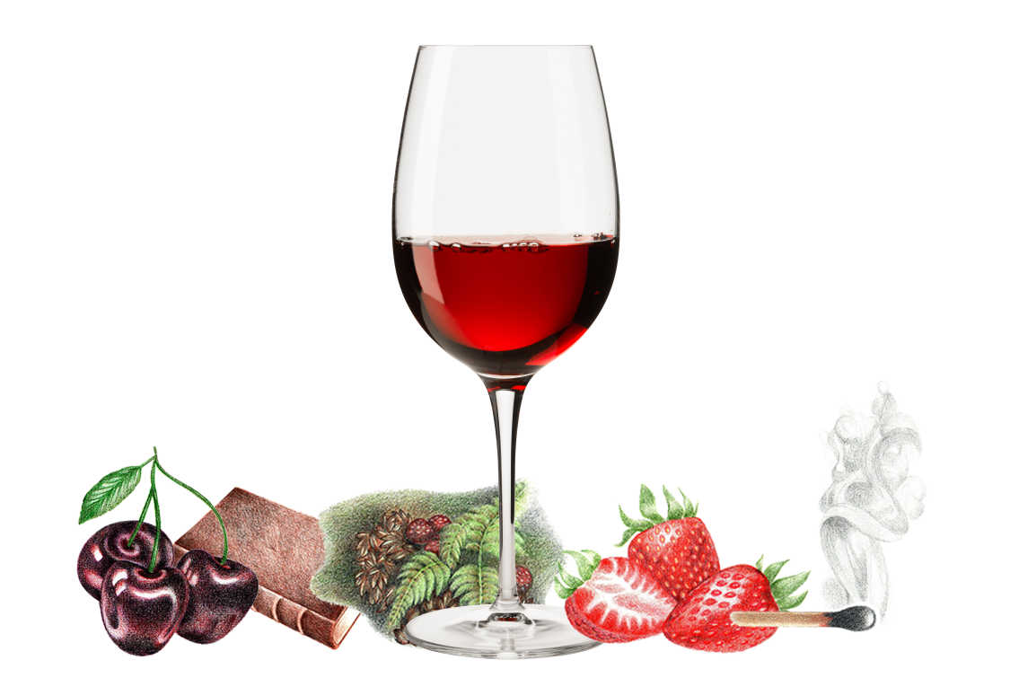 Typical flavors found in Pinot Noir wines