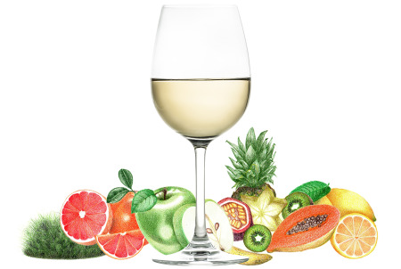 Typical flavors found in Sauvignon Blanc wines