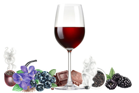 Typical flavors found in Syrah wines