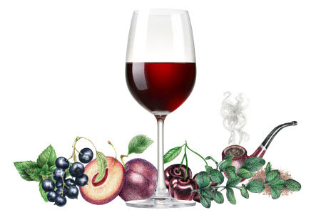Typical flavors found in Cabernet Sauvignon wines