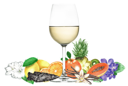 Typical flavors found in Chardonnay wines