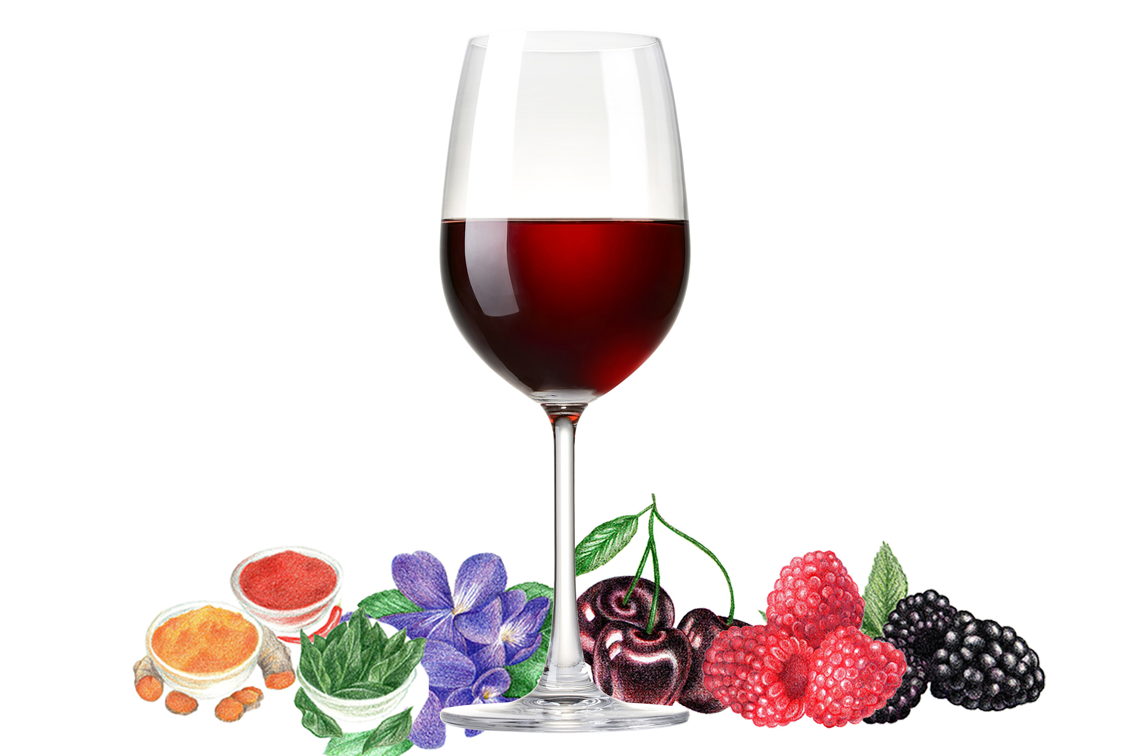 Typical flavors found in Barbera wines