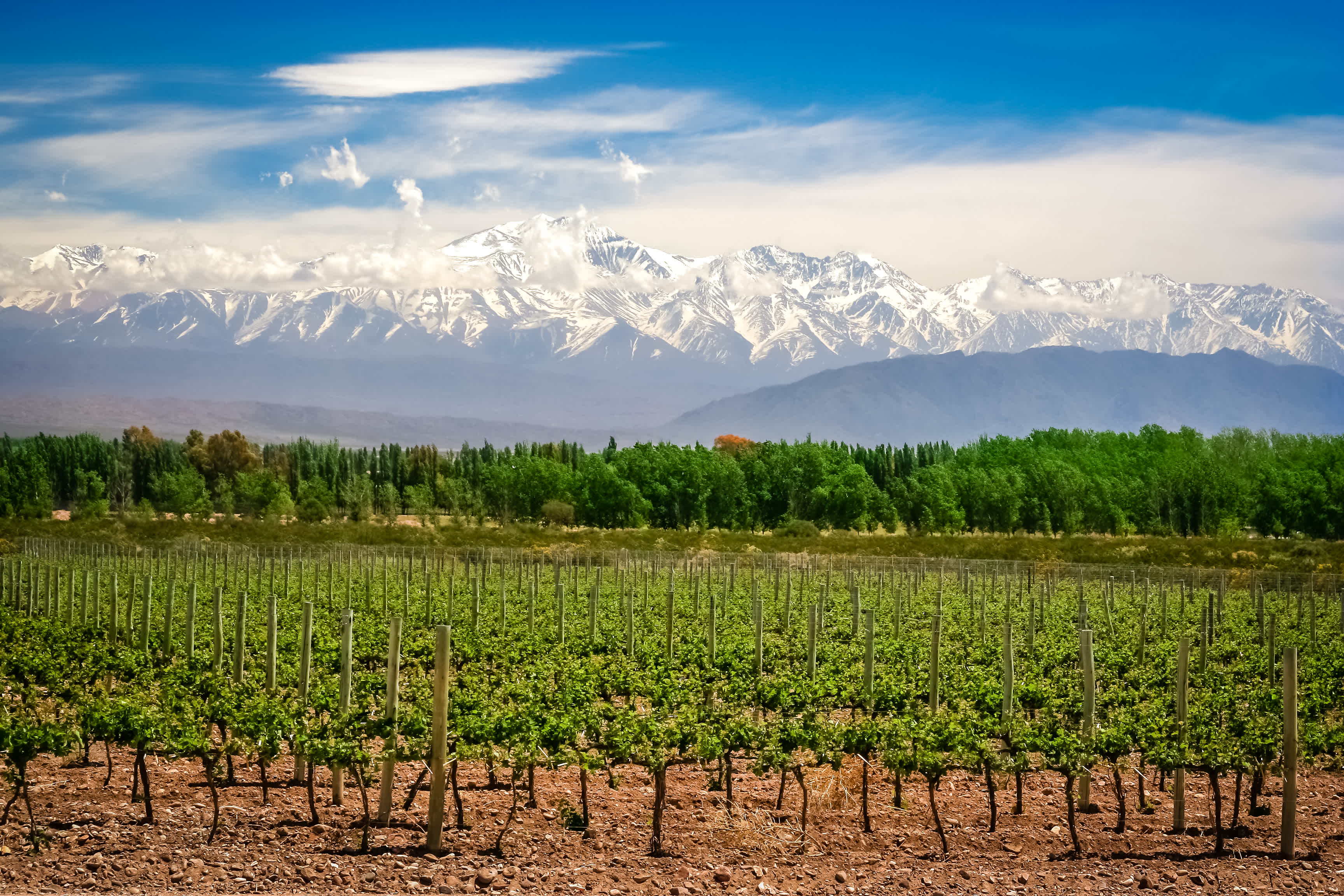 Top Wine Country Regions in the West