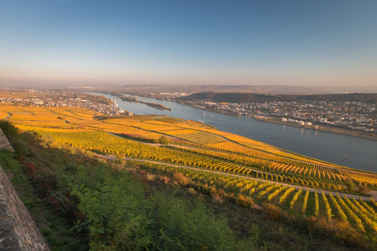 Panoramic view from Niederwalddenkmal to Rheingau, city of Bingen, and to Rheinhessen