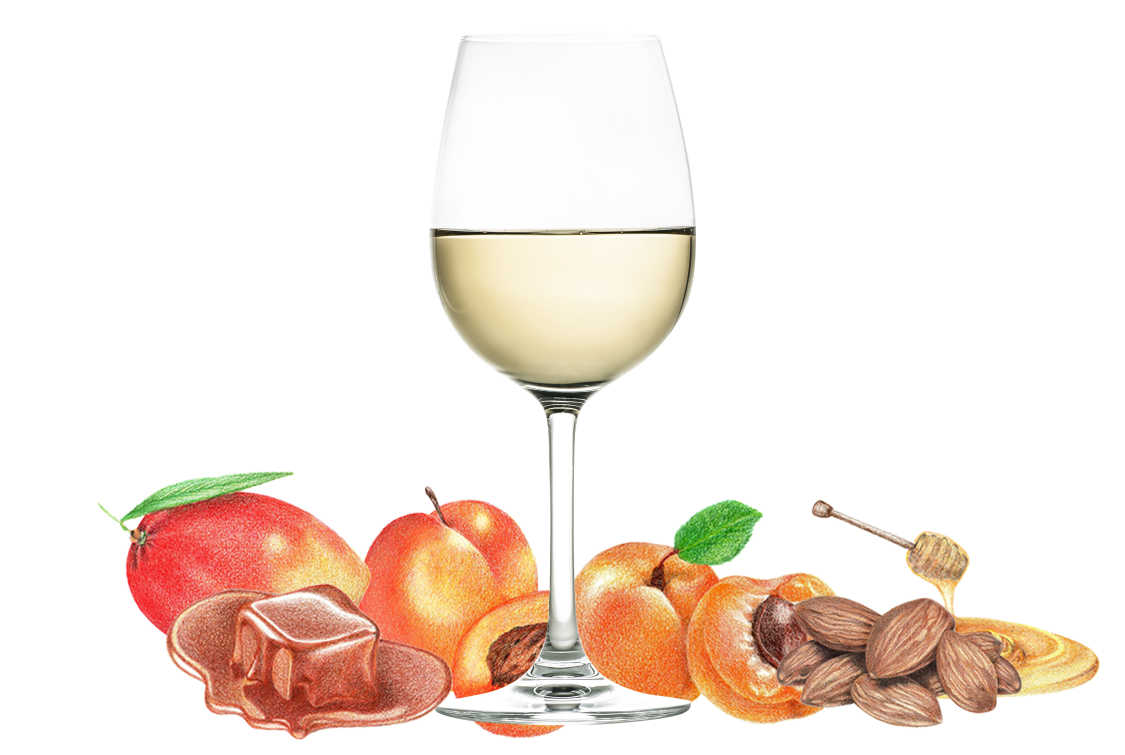 Ultimate Guide to Sauvignon Blanc Wine - Wine School