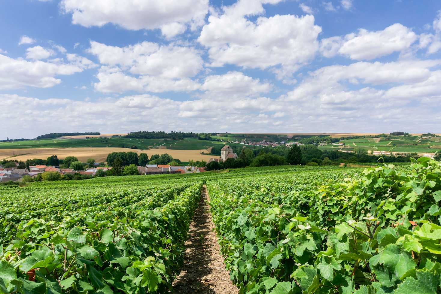 Champagne France Champagne France