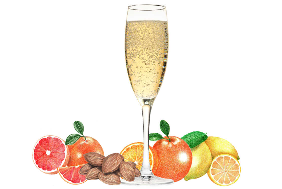 Typical flavors found in sparkling wines