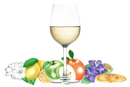Typical flavors found in Pinot Gris and Pinot Grigio wines