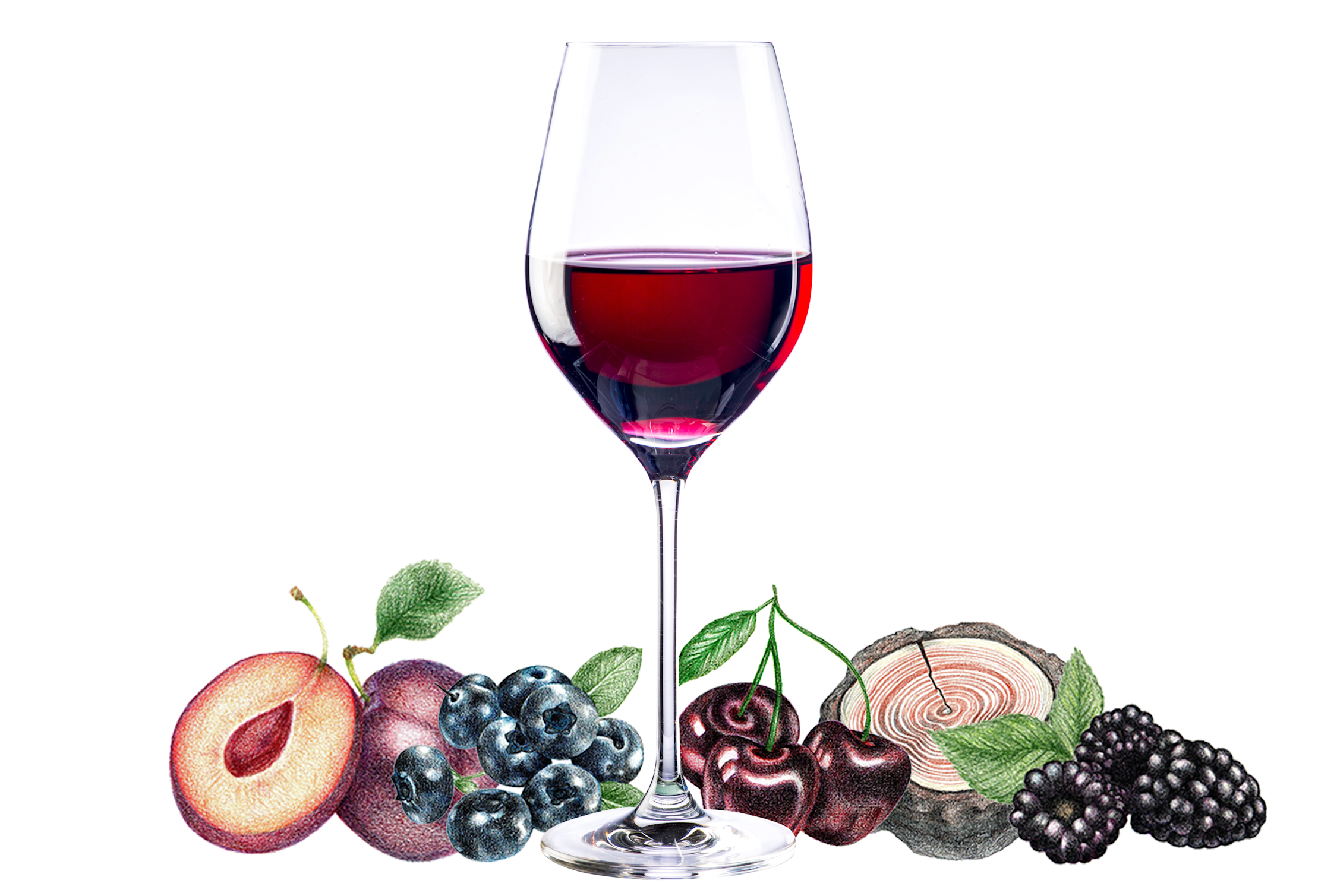 Typical flavors found in Merlot wines