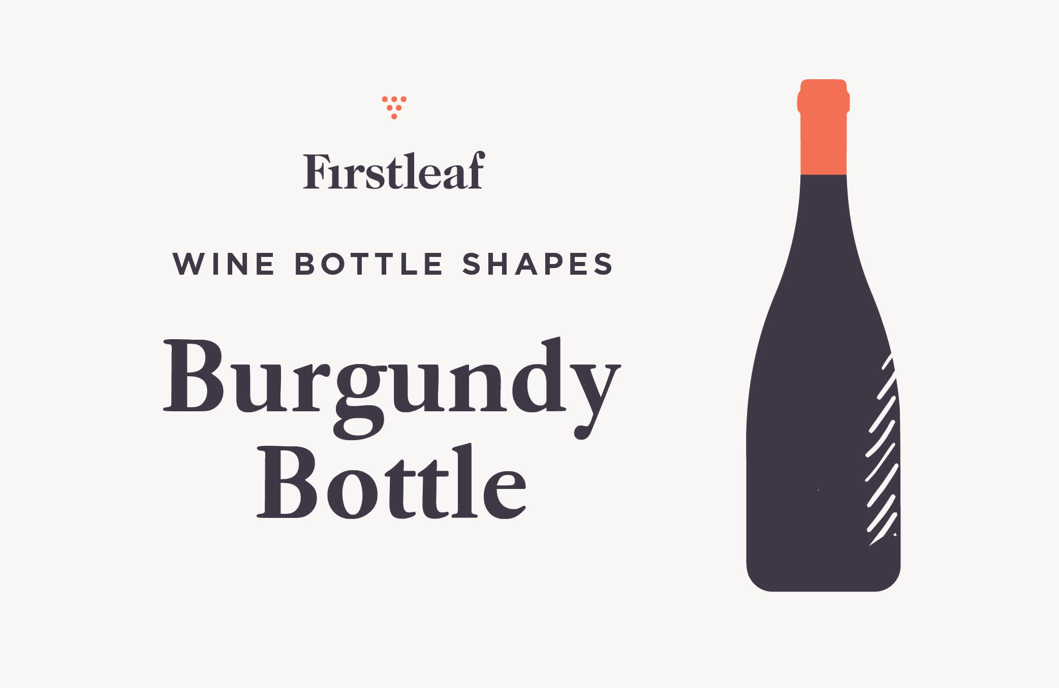 Your Guide to the 6 Most Common Wine Bottle Shapes