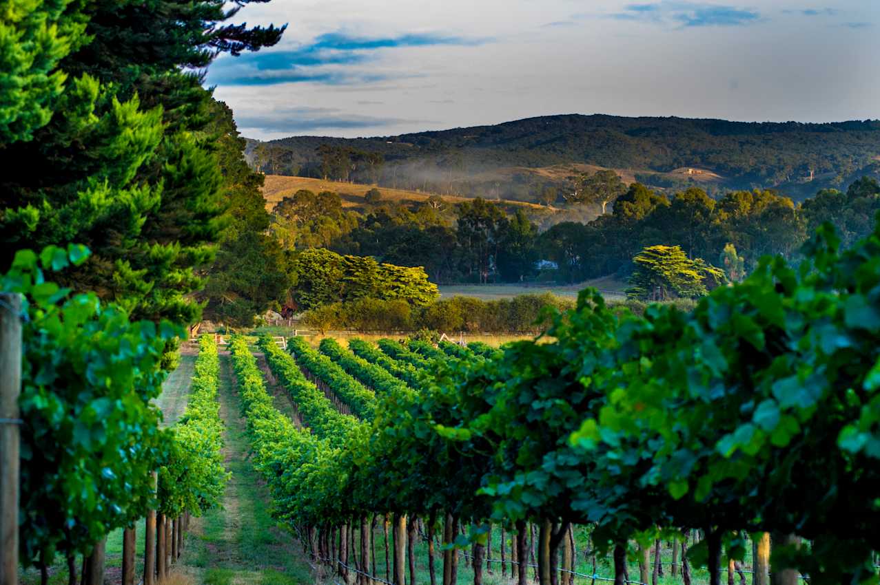 Barossa Australia Barossa Australia