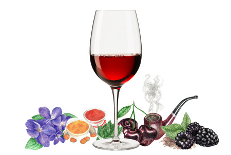 Typical flavors found in Malbec wines