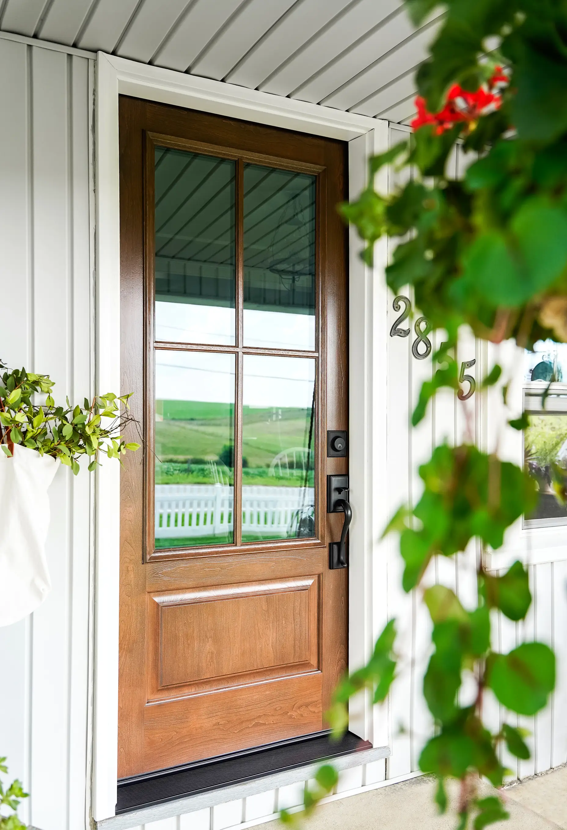 Signet cherry nutmeg entry door with a large window against white siding with a planet in the foreground.