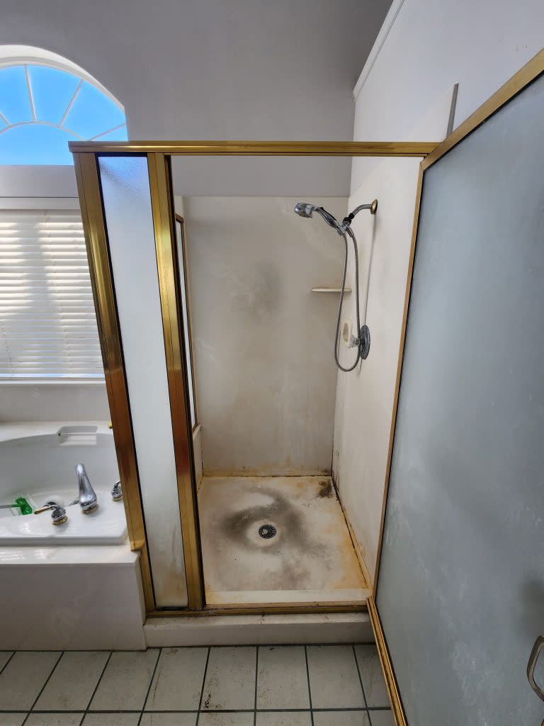 Mold and mildew on a shower wall