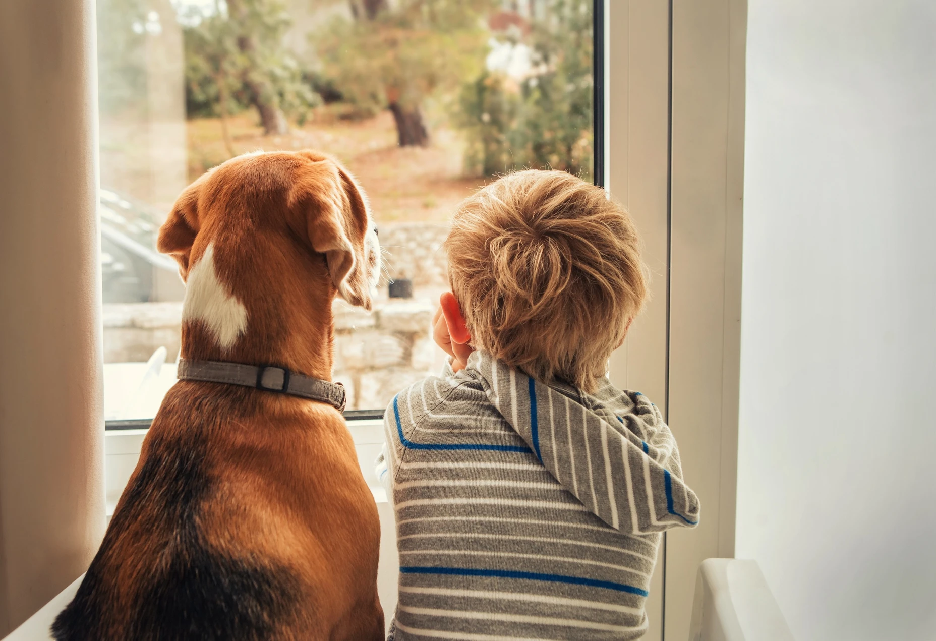 A little boy with blonde hair and a dog looking out of a picture window.