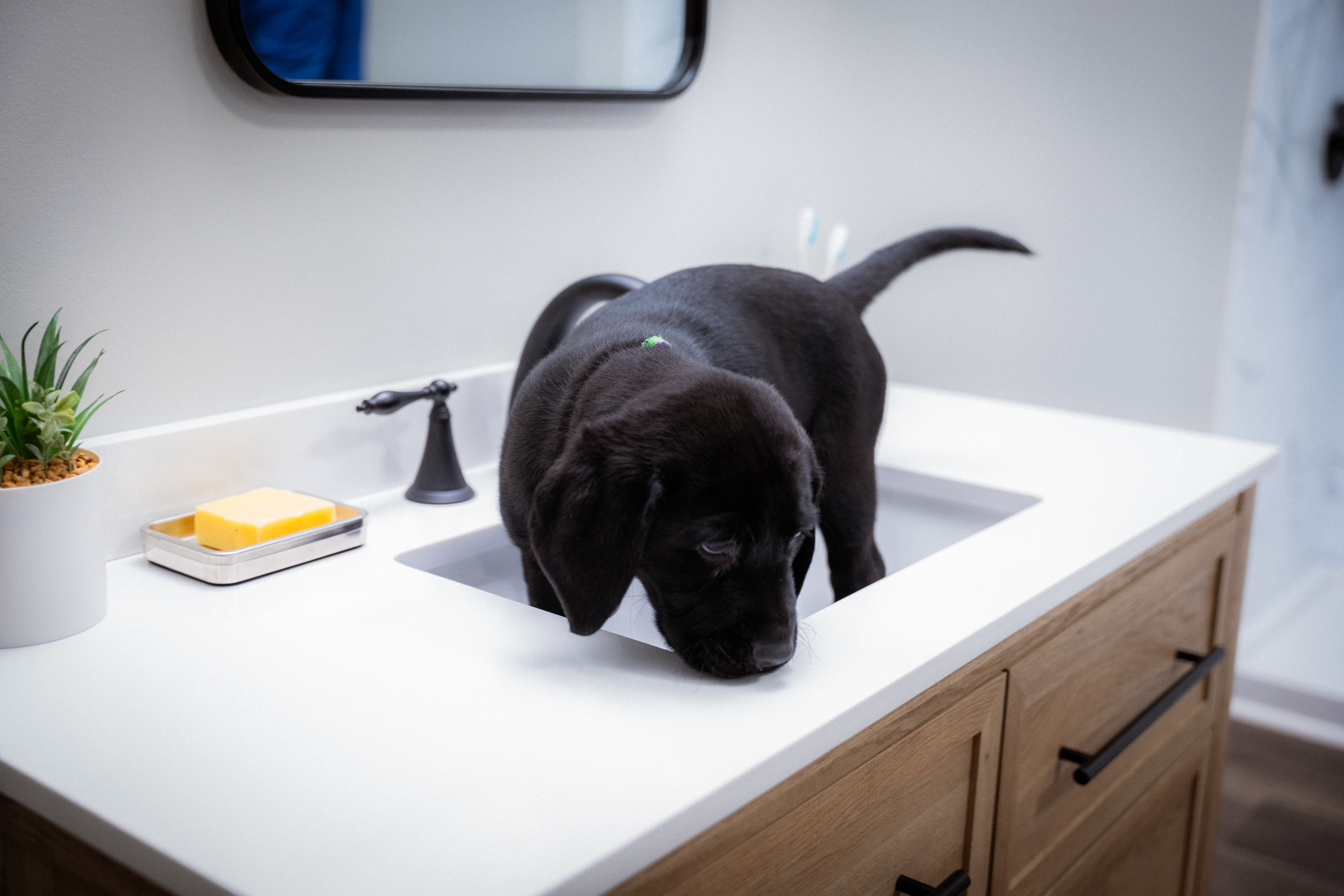 Modern bathroom vanity with solid surface countertop