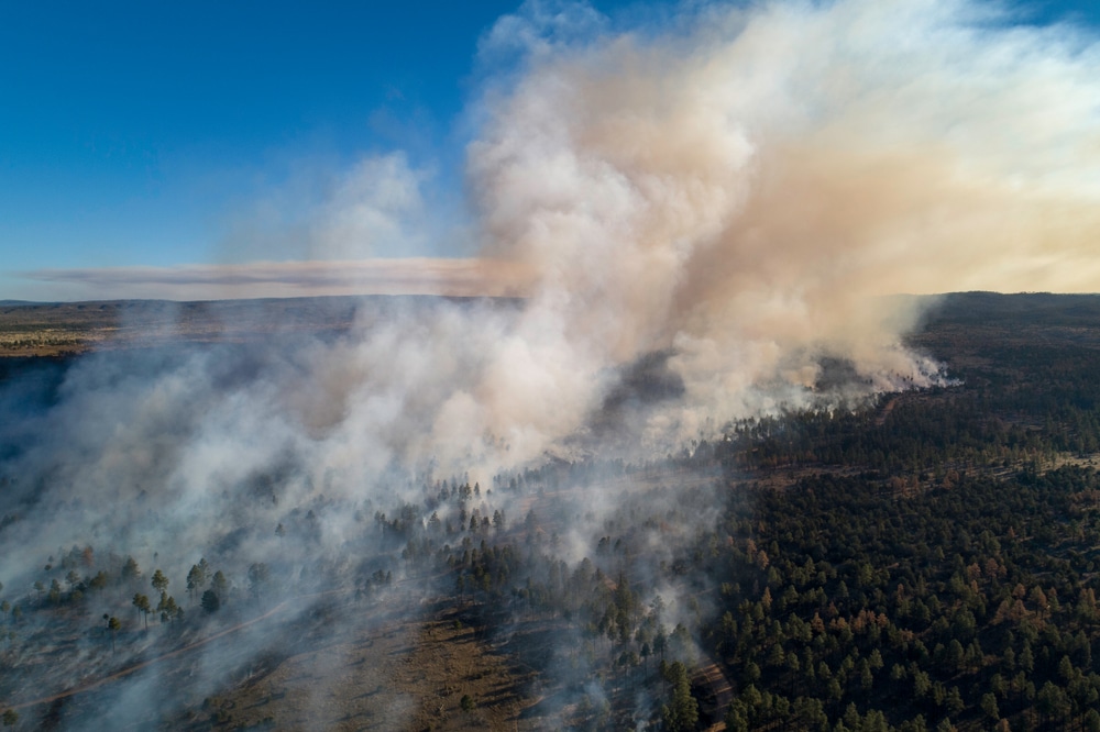 An aerial view of a wildfire.