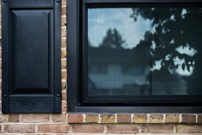 Windows with exterior color options