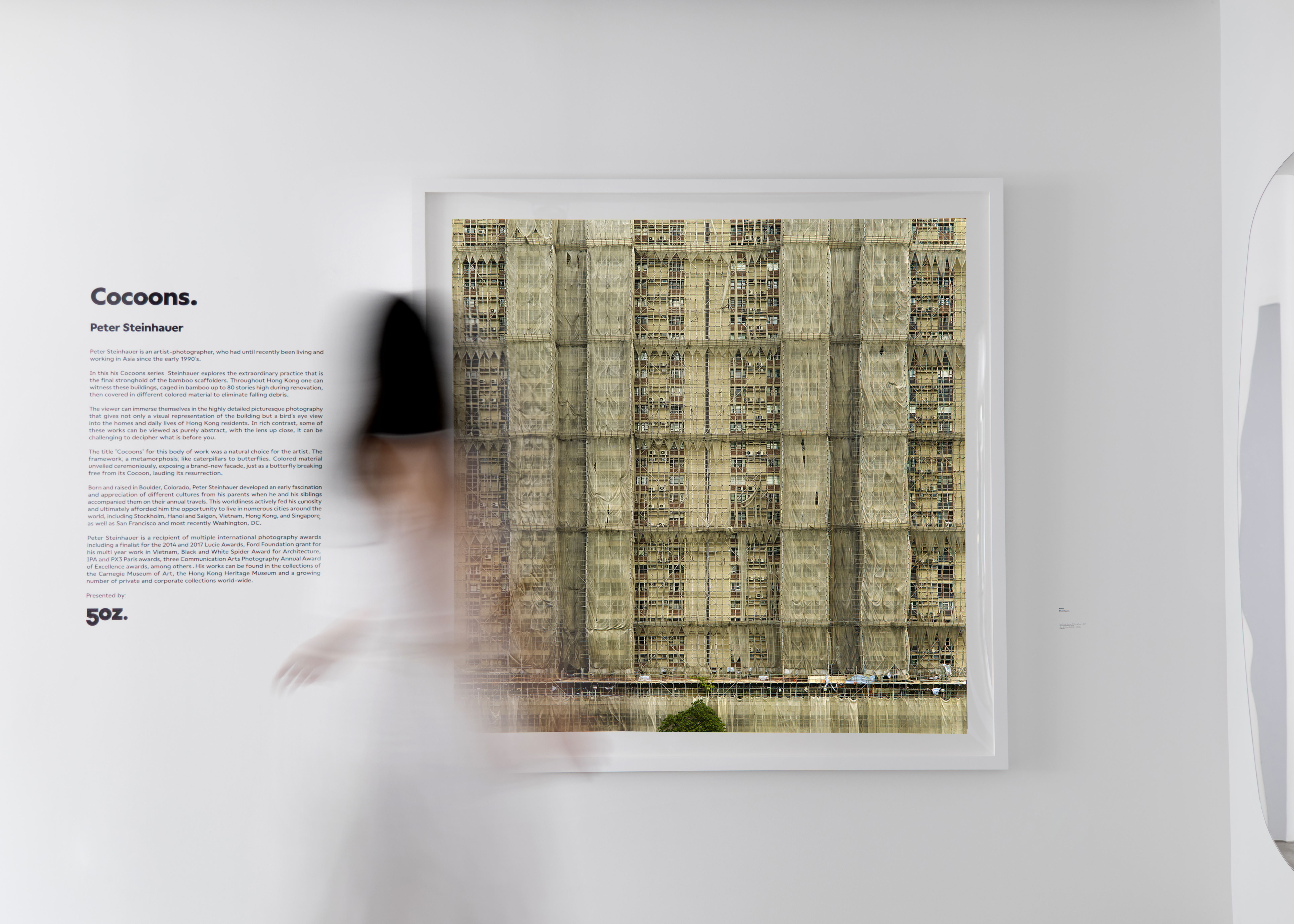 Woman walking in front of Cocoons artwork