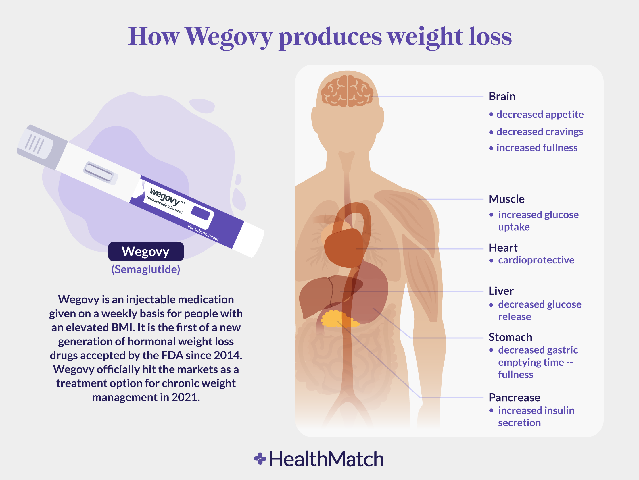 How Wegovy Produces Weight Loss 