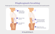 What Is Diaphragmatic Breathing For Infoupdate