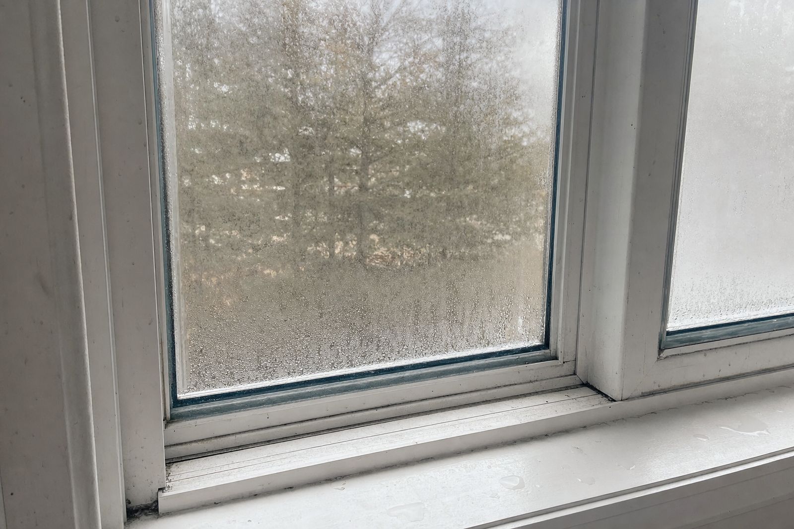 7 Signs It's Time to Replace Your Windows in the Inland Northwest