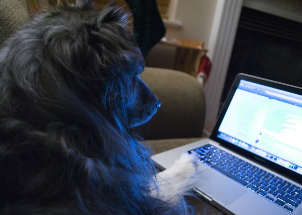 How tech startups test, organize, and review their code