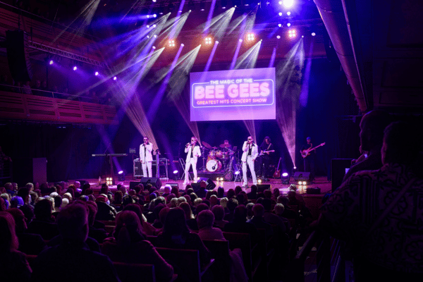 Image preview for The Magic of The Bee Gees Image 3