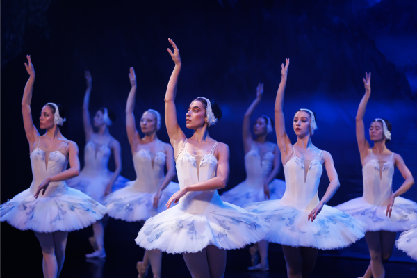 Image preview for Swan Lake