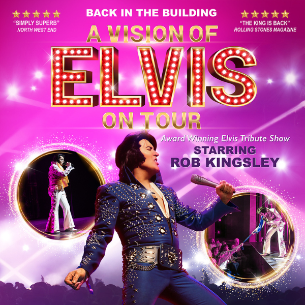 Hero image for A Vision Of Elvis