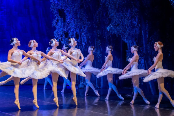 Image preview for Swan Lake