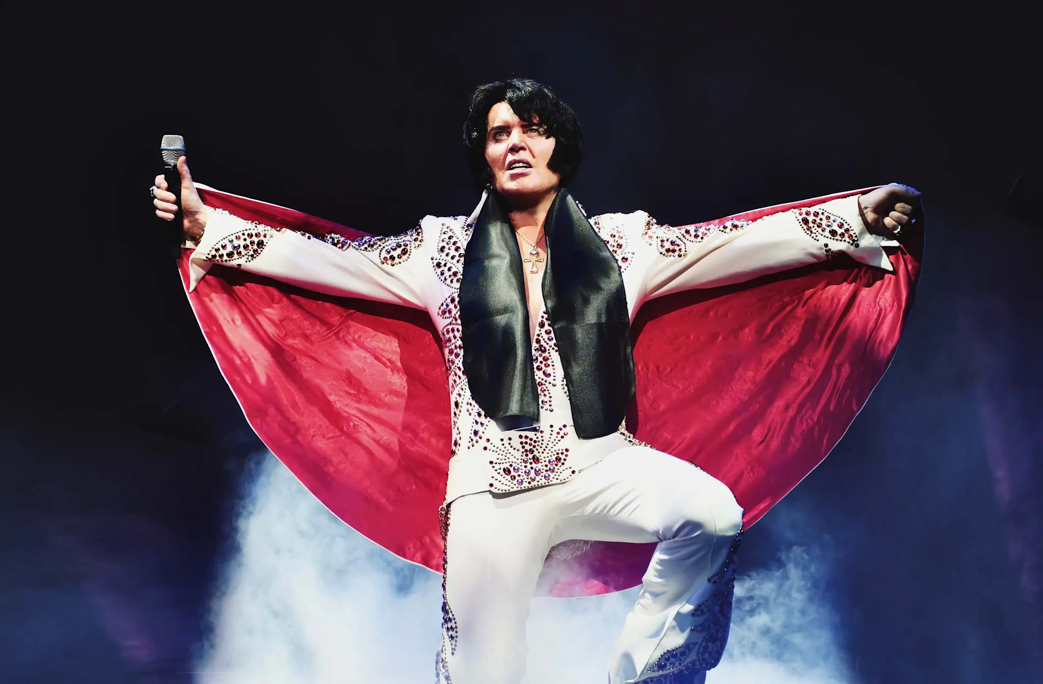 Image preview for visions of elvis 3