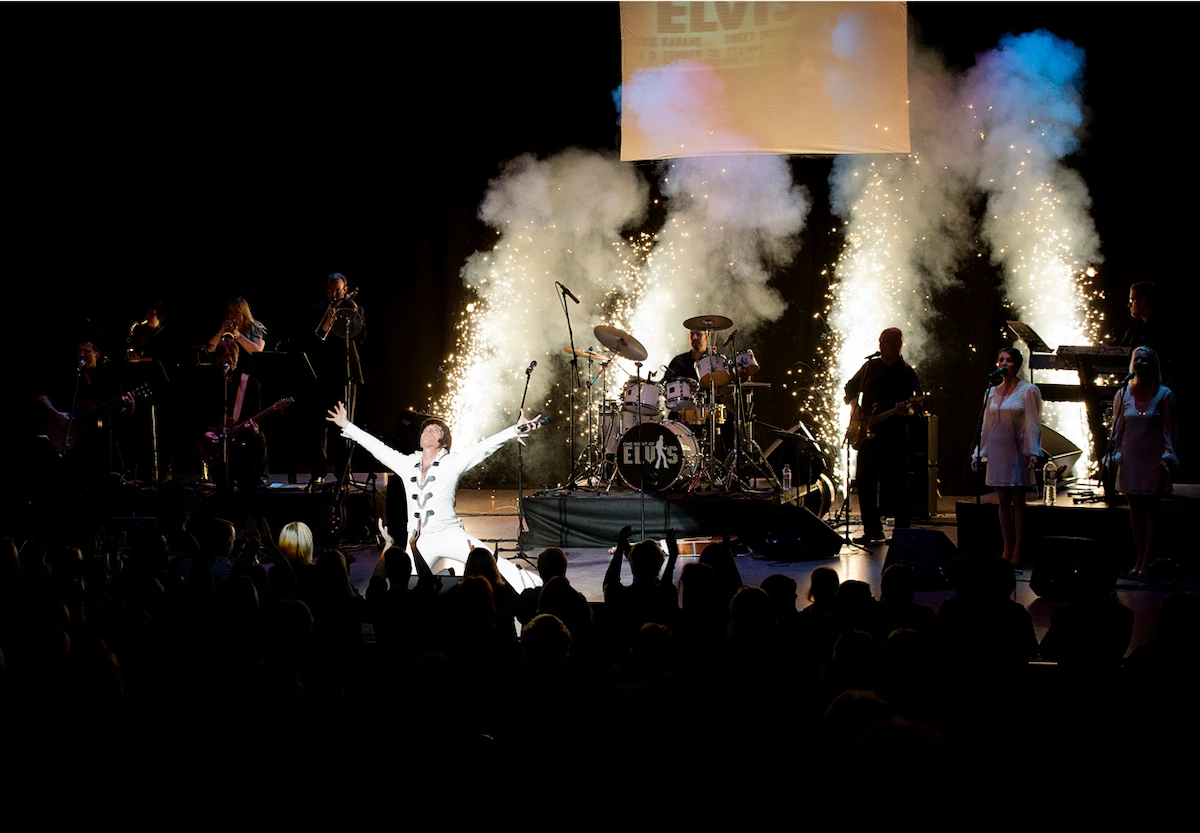 Image preview for One Night of Elvis Production Pic 3