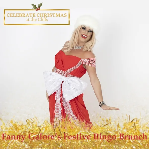 Event card thumbnail image for Fanny Galore's Festive Bingo Lunch