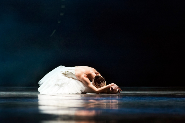 Image preview for Swan Lake Image 1