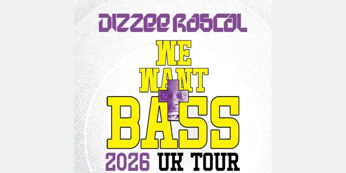 Hero image for Dizzee Rascal 