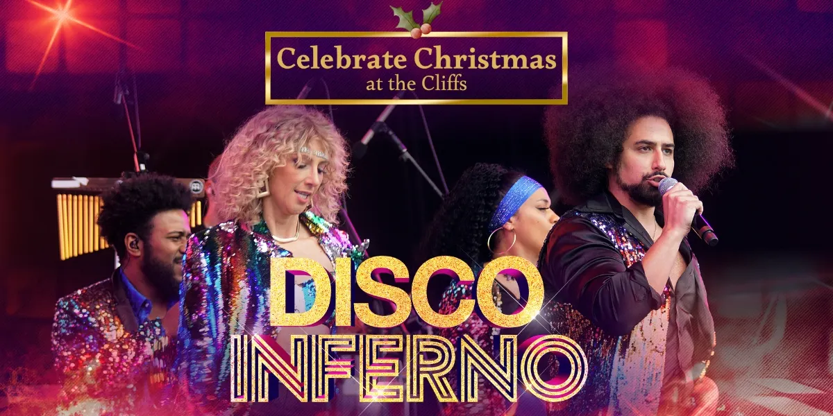 Hero image for Disco Inferno Festive Party