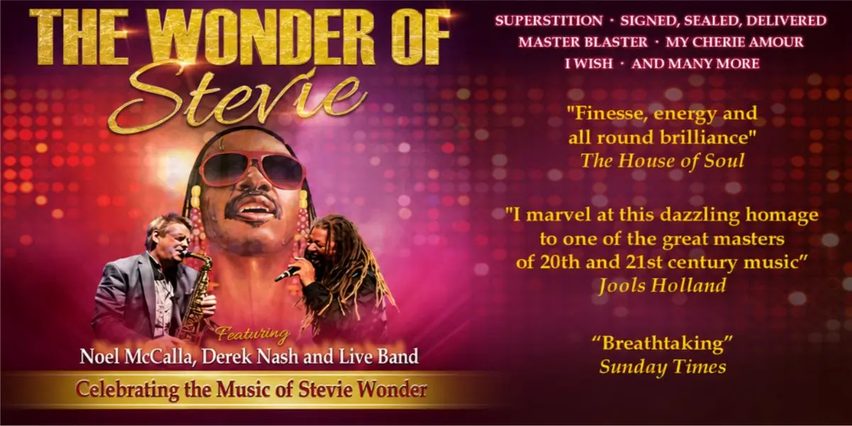 Hero image for The Wonder Of Stevie