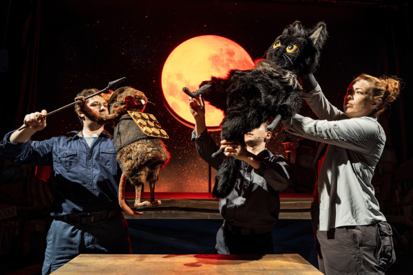 Image preview for Toto The Ninja Cat Image 1
