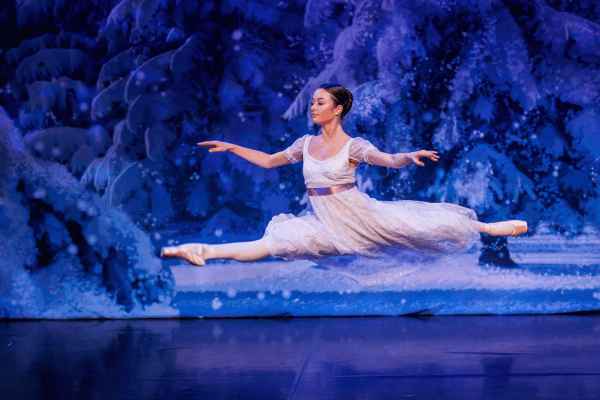 Image preview for The Nutcracker Image 1