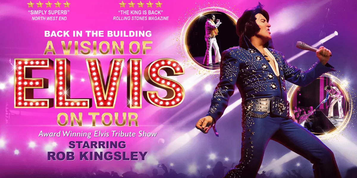 Hero image for A Vision Of Elvis